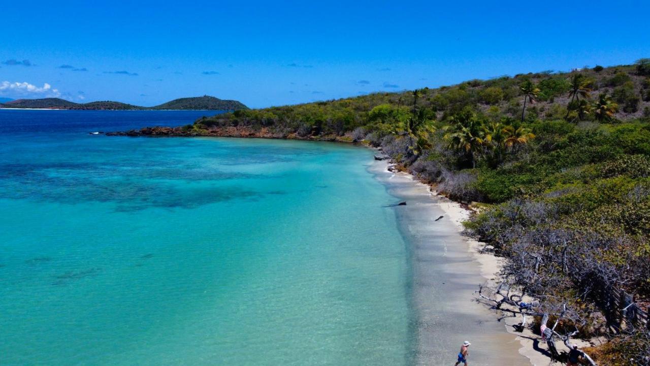 The New Caribbean Paradise Fajardo Exterior foto